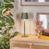 Salgadinho Outdoor table lamp, bathroom light, table lamp LED green, 1-light source
