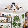 Gastor ceiling light, globe light Amber, clear, Smoke-coloured, 8-light sources