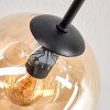 Gastor ceiling light, globe light Amber, clear, Smoke-coloured, 8-light sources