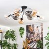 Gastor ceiling light, globe light Amber, clear, Smoke-coloured, 8-light sources