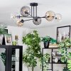Koyoto ceiling light, globe light 78 cm Amber, clear, Smoke-coloured, 6-light sources