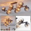 Koyoto ceiling light, globe light Amber, clear, Smoke-coloured, 10-light sources