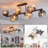 Koyoto ceiling light, globe light Amber, clear, Smoke-coloured, 10-light sources