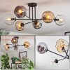 Ripoll ceiling light, globe light Amber, clear, Smoke-coloured, 6-light sources