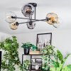 Ripoll ceiling light, globe light Amber, clear, Smoke-coloured, 6-light sources