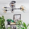 Ripoll ceiling light, globe light Amber, clear, Smoke-coloured, 6-light sources