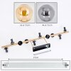 Gastor ceiling light, globe light gold, black, 10-light sources