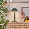 Laken Outdoor table lamp, bathroom light, table lamp LED green, 1-light source
