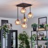 Koyoto ceiling light, globe light Amber, clear, 5-light sources