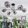 Ripoll ceiling light, globe light Smoke-coloured, 6-light sources