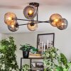 Ripoll ceiling light, globe light Amber, Smoke-coloured, 6-light sources