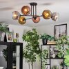 Ripoll ceiling light, globe light gold, clear, coppery, Smoke-coloured, 6-light sources