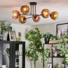 Ripoll ceiling light, globe light gold, clear, coppery, 6-light sources