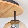 Ripoll ceiling light, globe light Ecru, black, 3-light sources