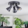 Farel ceiling light, ceiling spotlight chrome, black, 3-light sources