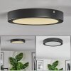 Isela ceiling light LED black, 1-light source