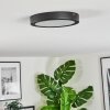 Isela ceiling light LED black, 1-light source