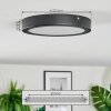 Isela ceiling light LED black, 1-light source