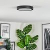 Isela ceiling light LED black, 1-light source