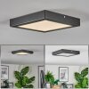 Isela ceiling light LED black, 1-light source