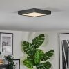 Isela ceiling light LED black, 1-light source