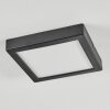 Isela ceiling light LED black, 1-light source