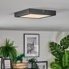 Isela ceiling light LED black, 1-light source