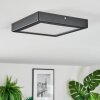 Isela ceiling light LED black, 1-light source