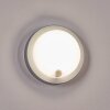 Jelad outdoor wall light, wall light LED silver, 1-light source, Motion sensor