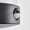 Heran outdoor wall light, wall light LED black, 1-light source, Motion sensor