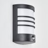 Heran outdoor wall light, wall light LED black, 1-light source, Motion sensor
