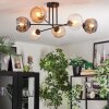 Ripoll ceiling light, globe light Amber, clear, Smoke-coloured, 6-light sources