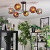 Ripoll ceiling light, globe light chrome, gold, coppery, Smoke-coloured, 6-light sources