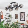 Koyoto ceiling light, globe light clear, Smoke-coloured, 8-light sources