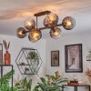 Koyoto ceiling light, globe light clear, Smoke-coloured, 8-light sources