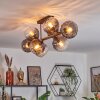 Koyoto ceiling light, globe light clear, Smoke-coloured, 8-light sources