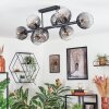 Koyoto ceiling light, globe light clear, Smoke-coloured, 8-light sources
