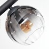 Koyoto ceiling light, globe light Amber, clear, Smoke-coloured, 8-light sources