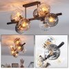 Koyoto ceiling light, globe light Amber, clear, Smoke-coloured, 8-light sources