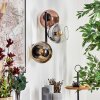Koyoto globe light, wall light gold, clear, coppery, Smoke-coloured, 3-light sources