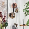 Koyoto globe light, wall light chrome, gold, clear, coppery, Smoke-coloured, 3-light sources