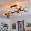 Koyoto ceiling light, globe light Amber, clear, Smoke-coloured, 8-light sources