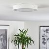 Finsrud Ceiling Light LED white, 1-light source