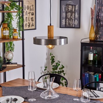 LAKEWOOD Pendant Light dark brown, matt nickel, 1-light source