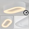 PALEROO outdoor ceiling light LED white, 1-light source