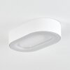 PALEROO outdoor ceiling light LED white, 1-light source