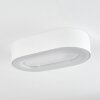 PALEROO outdoor ceiling light LED white, 1-light source