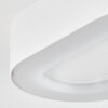 PALEROO outdoor ceiling light LED white, 1-light source