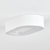 PALEROO outdoor ceiling light LED white, 1-light source