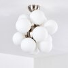 Hyco Ceiling Light matt nickel, 12-light sources